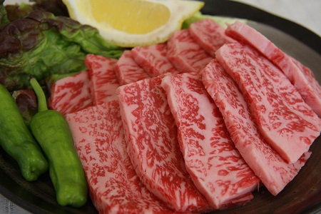 奥出雲和牛赤身焼肉用600g 【しまね和牛 肉質日本一 贈答用 冷蔵 チルド 日時指定Ｂ-11】