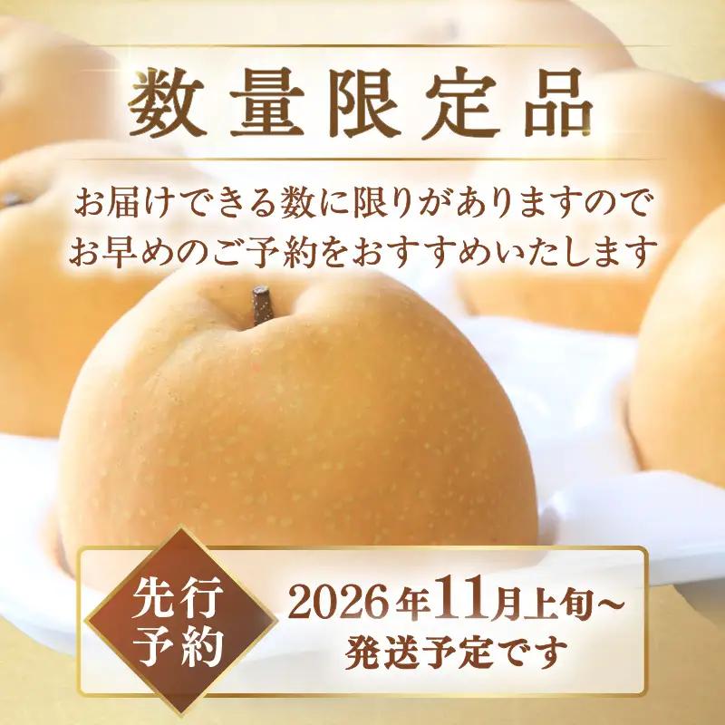 梨／王秋梨【先行予約／数量限定200】農家直送 秋の王様 「王秋」5kg（概ね7玉～12玉）（2026年11月上旬～発送）梨 なし ナシ 王秋梨 5キロ 予約 果物 くだもの フルーツ 期間限定 国産