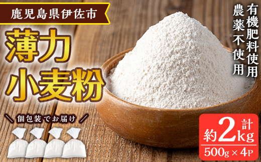 
isa480《毎月数量限定》あんしん小麦粉・薄力粉(約500g×4袋・計約2kg）小麦粉 小麦 薄力粉 薄力小麦粉 鹿児島県 伊佐市 お菓子作り 料理 有機肥料 農薬不使用【しげふみファーム】
