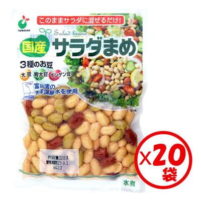 ふるさと納税 射水市 「国産 サラダ豆 120g」×20袋