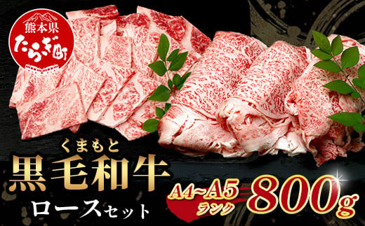 【 年内お届け 】A4・A5 くまもと黒毛和牛 ロース セット 計 800g ( すき焼き / 焼肉 各400g ) ※12月18日～28日発送※  年内発送 年内配送 113-0507-R612