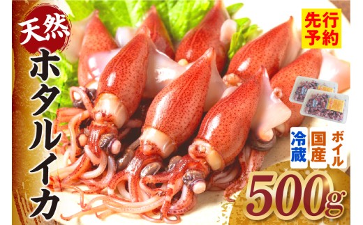 《先行予約》 ボイル ホタルイカ 小分け 250g×2パック 500g 酢味噌付 冷蔵 【令和9年3月以降発送予定】 国産 ほたるいか いか イカ 烏賊 茹で しゃぶしゃぶ 新鮮 便利 おかず 兵庫県 香美町 香住 モリタ食品 10-13