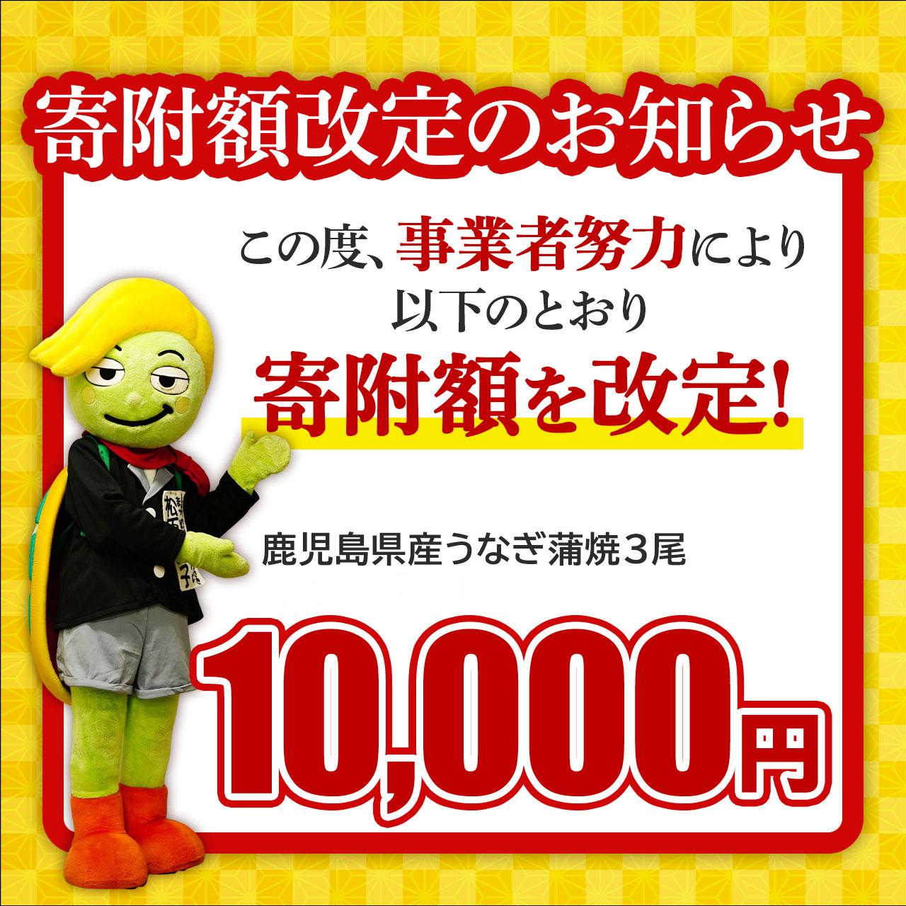 【寄附額改定】 国産うなぎ 蒲焼 3尾 360g  (120g×3尾)  鹿児島県産 山椒 たれ セット 詰め合わせ おおさき町鰻加工組合 国産 うなぎ ウナギ 鰻 うなぎの蒲焼 鹿児島 大隅半島 大