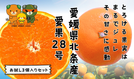 【先行予約】 愛果28号 お試し3個入りセット 【DCR016】