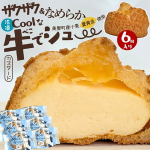シュークリーム 6個入り シュー 洋菓子 冷凍 【gatm001】