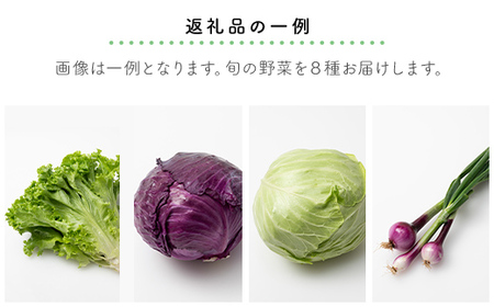 有機土壌で作る旬のオーガニック野菜セット（8品）TMT001