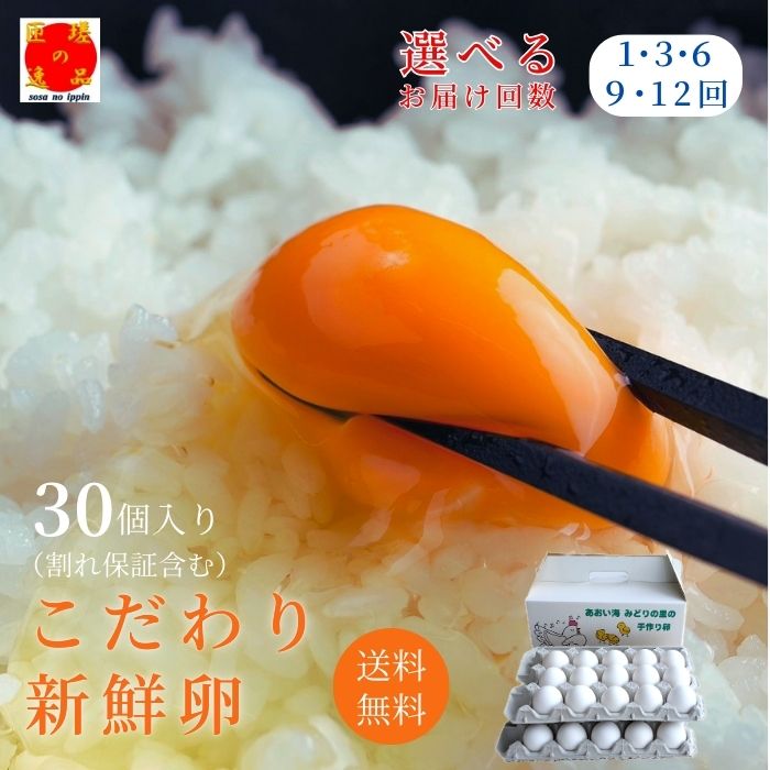 【ふるさと納税】\ 選べる回数 / 九十九里ファームこだわりたまご贈答用30個〜あおい海・みどりの里〜《白玉》 卵 タマゴ 玉子 たまご こだわり 新鮮 旨み 甘み 卵白 卵黄 ゆで卵 卵かけごはん TKG たまごかけごはん エッグ 送料無料 千葉県