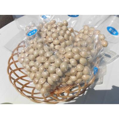 ふるさと納税 山辺町 【先行受付】殻付き銀杏 (ぎんなん)【L】 約1kg(200g×5パック) |  | 01