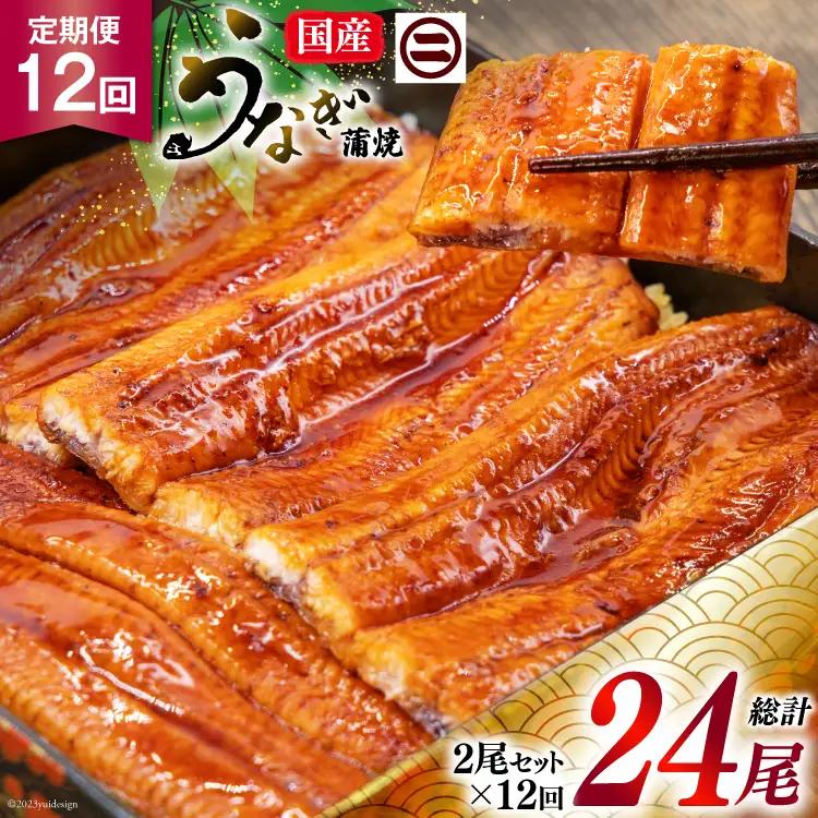 うなぎ 国産 蒲焼き 2尾 12回定期便