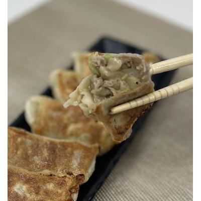 ふるさと納税 栃木市 肉汁爆発!特製プレミアム肉餃子