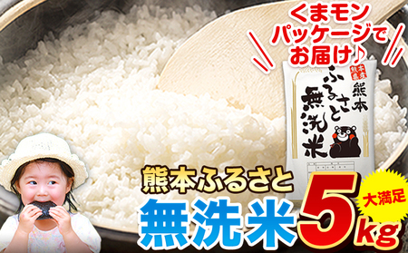 熊本ふるさと無洗米 5kg 無洗米 訳あり《7-14営業日以内に出荷予定(土日祝除く)》