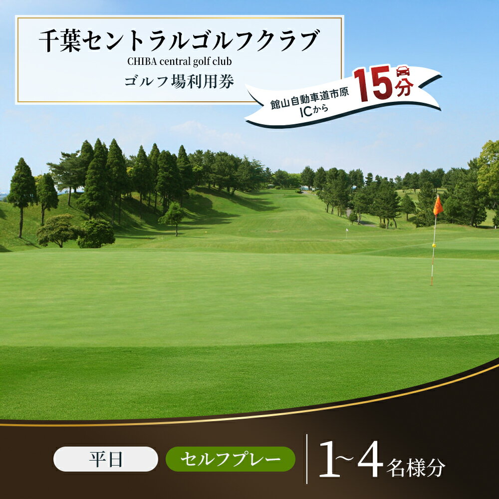 【ふるさと納税】〈券種が選べる〉ゴルフ場 千葉 千葉セントラルゴルフクラブ 1～4名様 平日プレー招待券