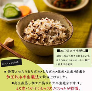 ご飯パック 発芽玄米ごはん 160g 48個 お米 レトルト 食品 無添加 国産 レンジで簡単 温めるだけ ギフト 引っ越し 挨拶 出産 内祝い お歳暮 備蓄米 うるち玄米 もち玄米 赤米 黒米 緑米