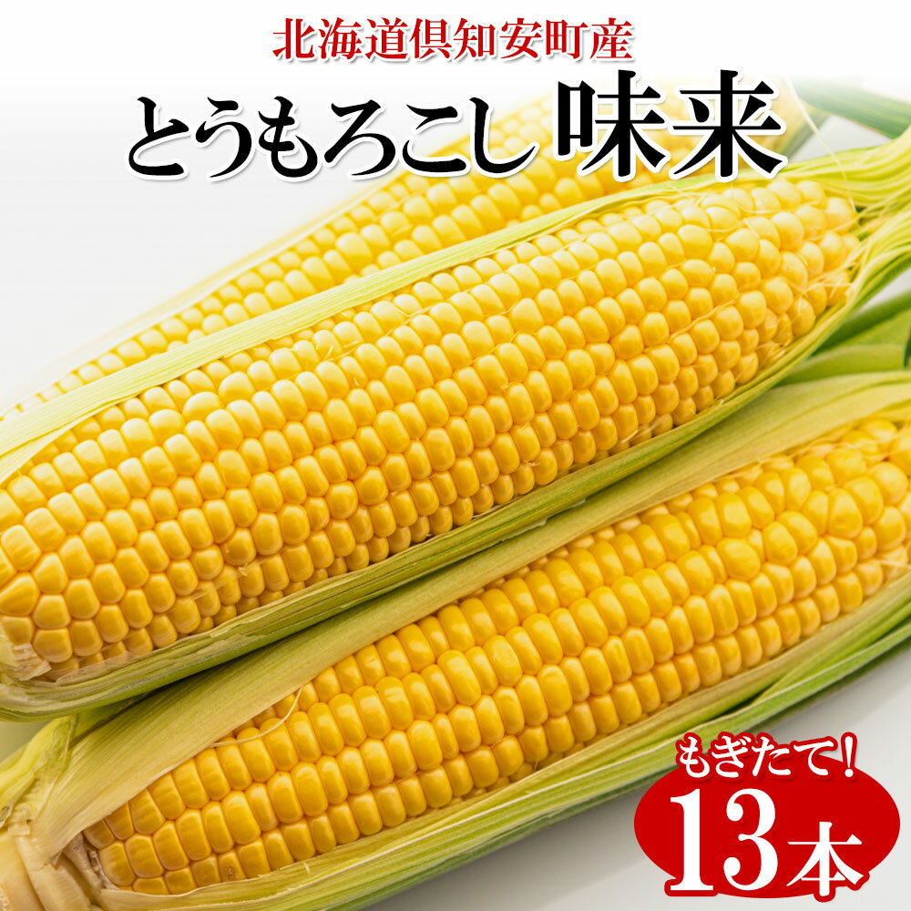 【ふるさと納税】【 2026年 出荷 】 北海道産 朝もぎ イエロー とうもろこし 味来 みらい 2Lサイズ 13本 約5kg 大きめ 夏野菜 とうきび 新鮮 野菜 トウモロコシ ギフト 産地直送 コーン 産直 グリーンアースファーム スイートコーン 　お届け：2026年8月上旬～8月下旬