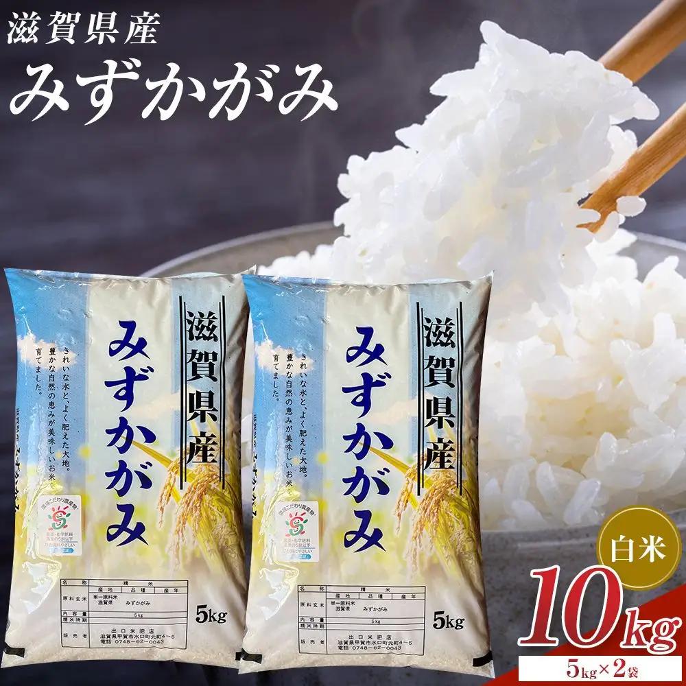 【令和8年産 新米】近江米みずかがみ白米10kg（5kg×2袋）