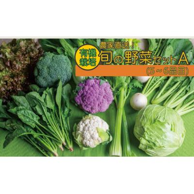 ふるさと納税 宇佐市 旬の有機野菜セットA(5〜6品)【114500101】【さとう有機農園】 |  | 01