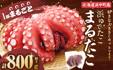 【14日以内に発送】浜ゆでたこ「まるたこ」たこ 一匹 一杯 刺身 海産物 魚介類 海鮮 北海道 _H0023-101