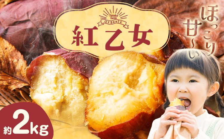 
            さつまいも 芋 紅乙女 ベニオトメ 約2kg Yataka farm《10月上旬-1月末頃出荷》岡山県 矢掛町 送料無料 野菜 いも サツマイモ 紅おとめ お取り寄せ
          