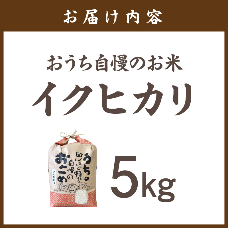 おうち自慢のお米 イクヒカリ 5kg【1296-1】