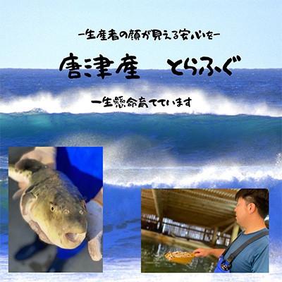 ふるさと納税 唐津市 唐津産 とらふぐてっさと切り身の贅沢食べ比べ! 24人前 |  | 03