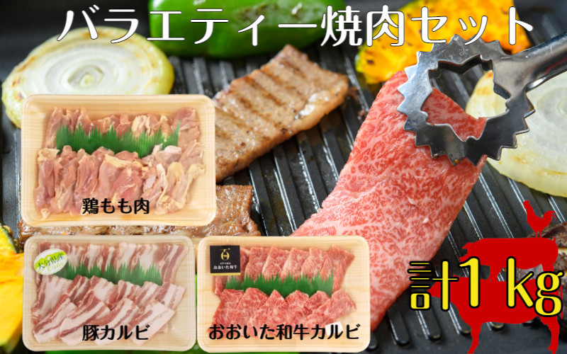 
バラエティー焼肉セット_1852R
