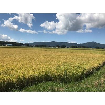 ふるさと納税 紫波町 【令和7年産】岩手県紫波町産　特別栽培米　ひとめぼれ 精米 5kg |  | 02