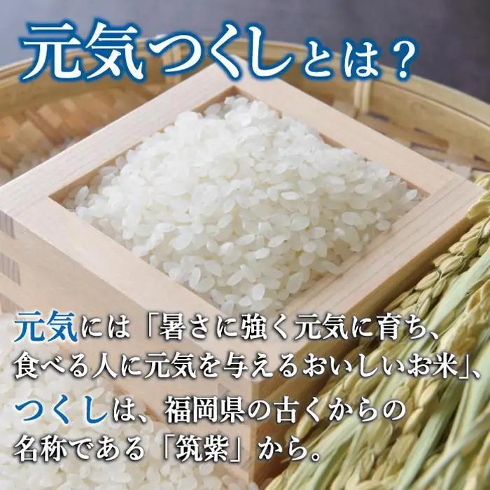 令和7年産 米 金のめし丸 元気つくし 5kg | 白米