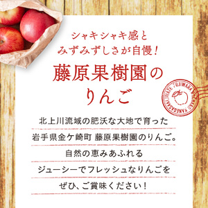 【先行予約】令和6年産 りんご サンふじ 訳あり 3kg (8～11玉)  11月中下発送予定 数量限定 人気 お試し 甘い 旬 果物 リンゴ フルーツ 林檎 岩手県 金ケ崎町