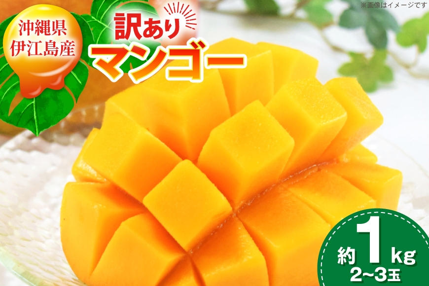 
                  訳あり マンゴー  アーウィン種 約 1kg (2〜3玉) 【期間限定発送】 [伊江村マンゴー部会 沖縄県 伊江村 ie47bde320006] 訳ありマンゴー 訳アリ ワケあり 理由あり 沖縄 フルーツ 果物 甘い 夏 濃厚 果物 果実 くだもの
                