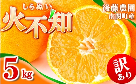 ご家庭用 【先行受付】後藤農園 不知火 5kg 訳あり 熊本県 南関町 フルーツ 果物 くだもの 柑橘