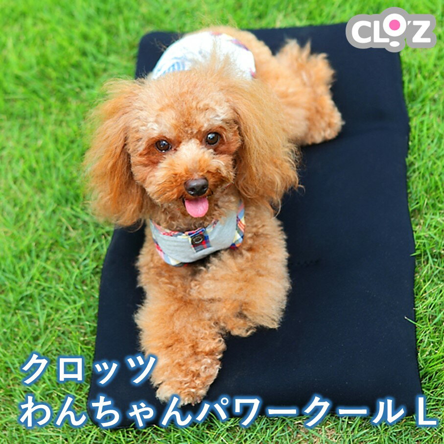 【ふるさと納税】クロッツ わんちゃんパワークール L