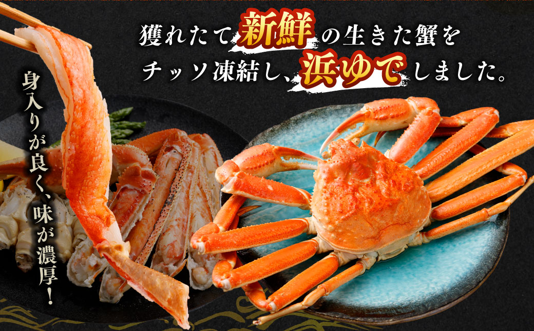 特大 ボイル ズワイ蟹 姿 1.5kg 2尾