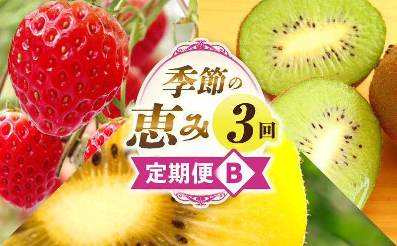 
                  季節の恵み3回定期便B | 果物 フルーツ 青果 青果物 デザート スイーツ 果実 旬 季節 旬の果物 季節の果物 生鮮食品 生鮮 贈答 贈り物 ギフト プレゼント おすそ分け お祝い 内祝い ご褒美 人気 グルメ お取り寄せ 特産品 特産 国産 香川県 三木町 |_mk165-t017
                