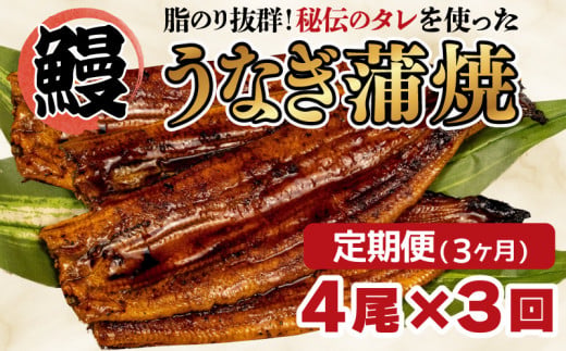 【 3カ月定期 】 うなぎ 蒲焼き 4尾 約500g 鰻  冷凍 タレ 山椒 中国産  まるが水産 脂ノリ抜群 人気 静岡県