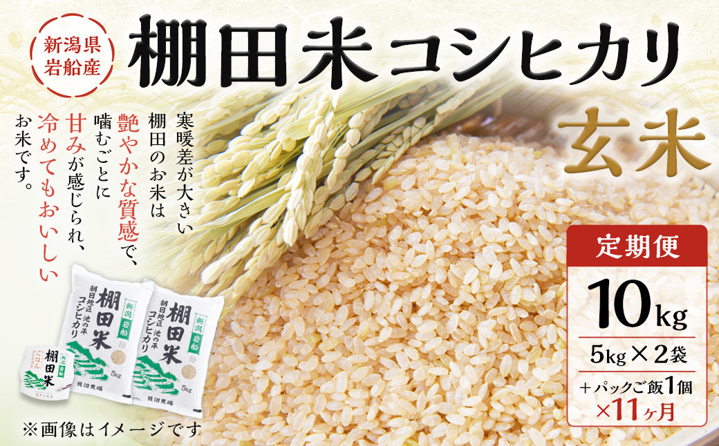 
【定期便：11ヶ月連続でお届け】【令和6年産米】新潟県岩船産 棚田米コシヒカリ 玄米10kg ＋ 棚田米コシヒカリのパックごはん(150g×1個)×11ヶ月 1067046
