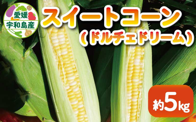 
                  とうもろこし スイートコーン ドルチェドリーム 約5kg あかだ農園 朝採れ 甘い 採れたて コーン とうきび 夏野菜 旬 高糖度 甘い 野菜 やさい 数量限定 産地直送 農家直送 国産 愛媛 宇和島 F010-137002
                