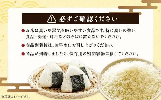 〈 令和8年産 〉浦臼産 ふっくりんこ 精白米 5kg お米 米 こめ コメ 白米 白飯 飯 ご飯 おにぎり ブランド米 ブランド 国産 北海道産 和食 魚料理 【 2026年11月上旬より順次発送 