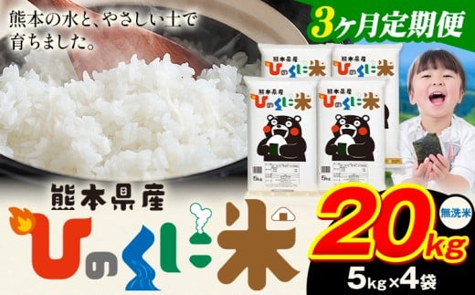 【3ヶ月定期便】 無洗米 ひのくに米 20kg 《お申込み翌月から出荷》 食品 米 こめ コメ 熊本県産 ふるさと納税 お米 おこめ 熊本