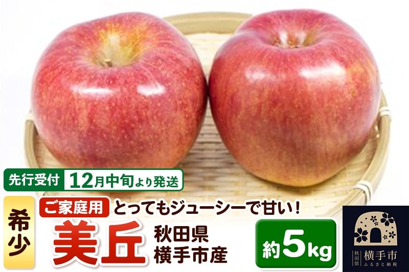
            【先行受付】12月中旬より発送 希少品種！追熟でおいしさ倍増！横手市産りんご(美丘) ご家庭用 約5kg
          