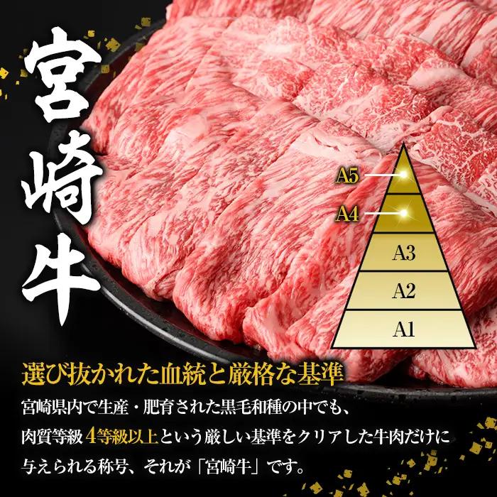 宮崎牛 モモ ステーキ(計1.2kg) 1.2kg お肉 牛肉 黒毛和牛 宮崎牛 ブランド和牛 冷凍 国産 モモ 赤身 ステーキ 宮崎県産 【YA004】【YAMATO株式会社】