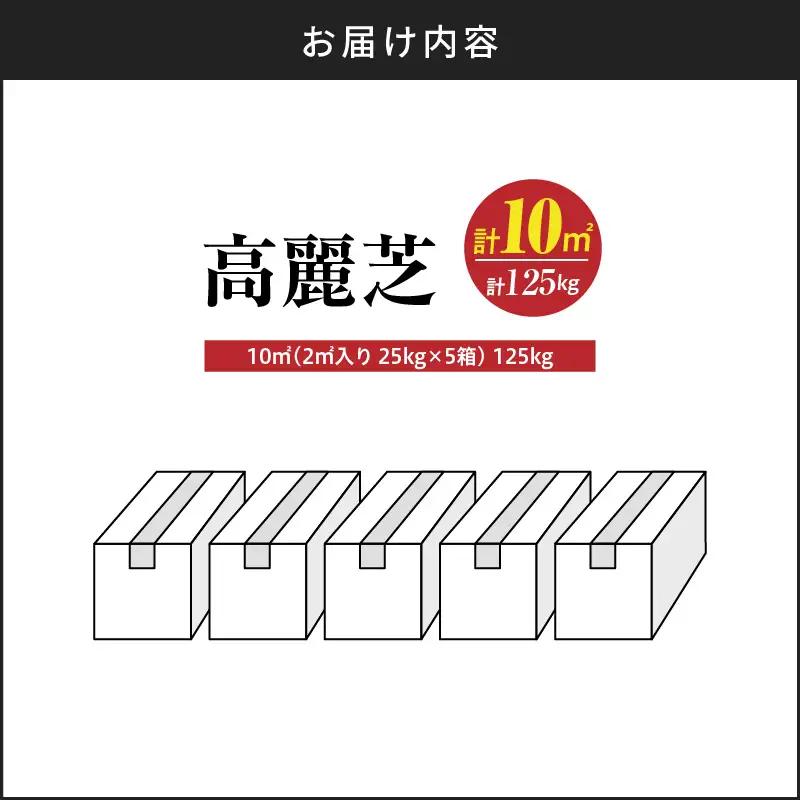 【10月から5月に発送】 高麗芝（10平方メートル） KN177-003-02 庭 芝生