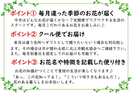 【定期便/3ヶ月】季節の寄せ鉢  岩手県 北上市 G0102  （ パルテール )  花 観賞用 アレンジ プレゼント ギフト 誕生日 お祝い クリスマス 卒業 入学 バレンタインデー ホワイトデー 