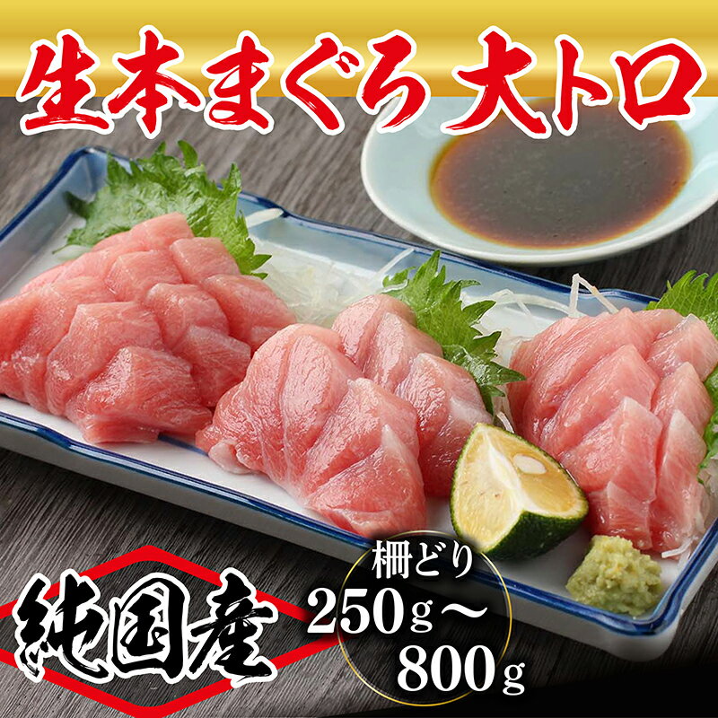 【ふるさと納税】【冷蔵・指定日着可】国産 生本マグロ 大トロ250g～800g(柵どり) /送料無料 福井県越前市 鮪 新鮮 お刺身 おさしみ お造り おつくり おろし ブロック 魚 切り身 切身 海鮮 丼 海鮮丼 まぐろ丼 漬け 漬け丼 発送時期が選べる(18209)