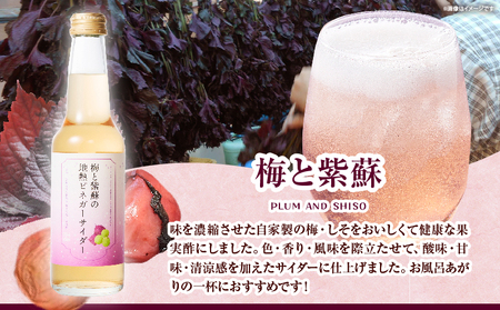 地熱ビネガーサイダーセット(3本)_B009-015