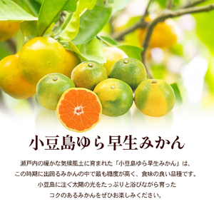 ゆら早生みかん 小豆島産 柑橘 フルーツ ゆら早生みかん【約3kg】