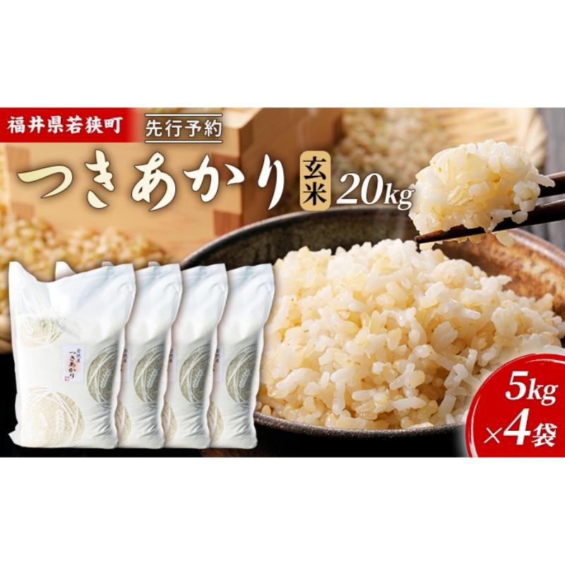 【ふるさと納税】【2月お届け】先行新米若狭町ツキアカリ玄米20kg 米 お米 つきあかり 福井県　お届け：2027年2月上旬～下旬
