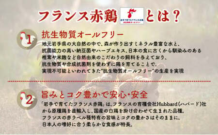 サラダチキン アマタケ サラダチキン フィンガーシリーズセット 12P入 (12/19申込⇒年内出荷) 【04209-0189】 低糖質 ダイエット 低カロリー 筋トレ 時短 鶏肉 サラダチキン ダイ