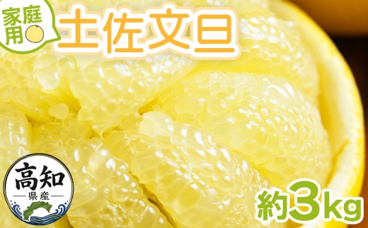
                  土佐文旦人気 3kg 家庭用 土佐文旦 大小混合(サイズ：L～3L) 高知 大玉 小玉 混合 訳あり 傷 果物 文旦 ぶんたん ブンタン フルーツ 柑橘 香南市産 高知県 数量限定 期間限定 季節限定 旬 常温 10000円以下 1万円以下 文旦 高知 yk-0083
                
