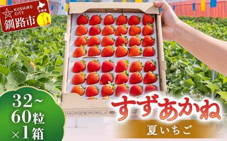 先行予約!【2026年6月末から順次発送】すずあかね 32～60粒×1箱 夏いちご 贈答用 イチゴ 夏イチゴ 果物 苺 いちご 夏 スィーツ ケーキ フルーツ 北海道 F5F-0095