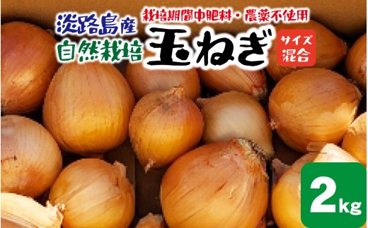 淡路島産 栽培期間中肥料・農薬不使用 自然栽培玉ねぎ 2kg  ／ 野菜 自然栽培 農薬不使用 ブランド タマネギ オニオン スライス サラダ 肉じゃが 常備菜 スープ 味噌汁 兵庫県 淡路市 サイズ混合